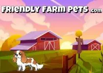 Friendly Farm Pets