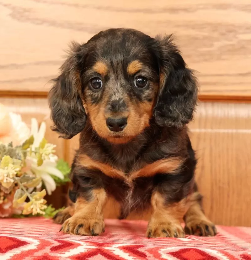 Tina