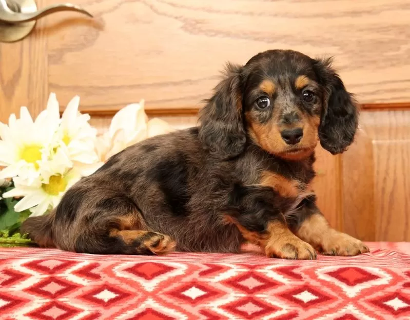 Tina