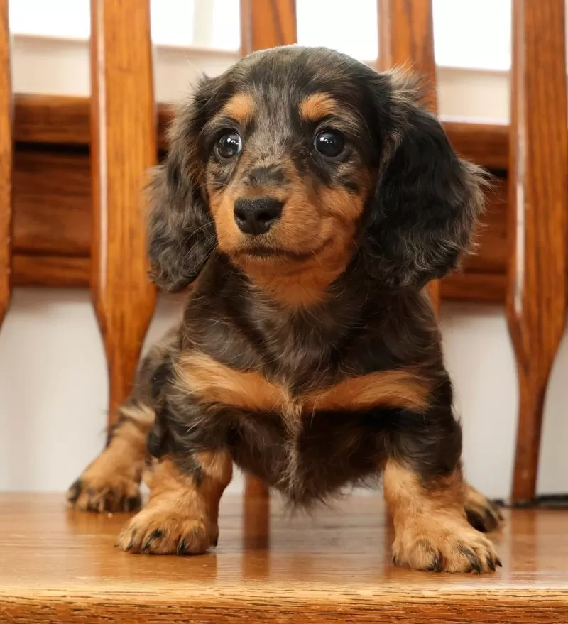 Tina