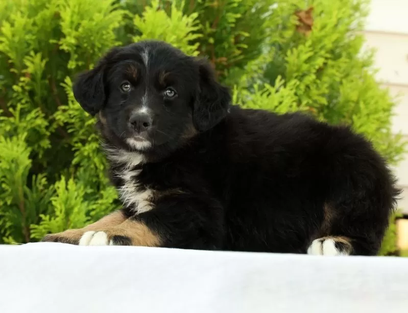 Skyler